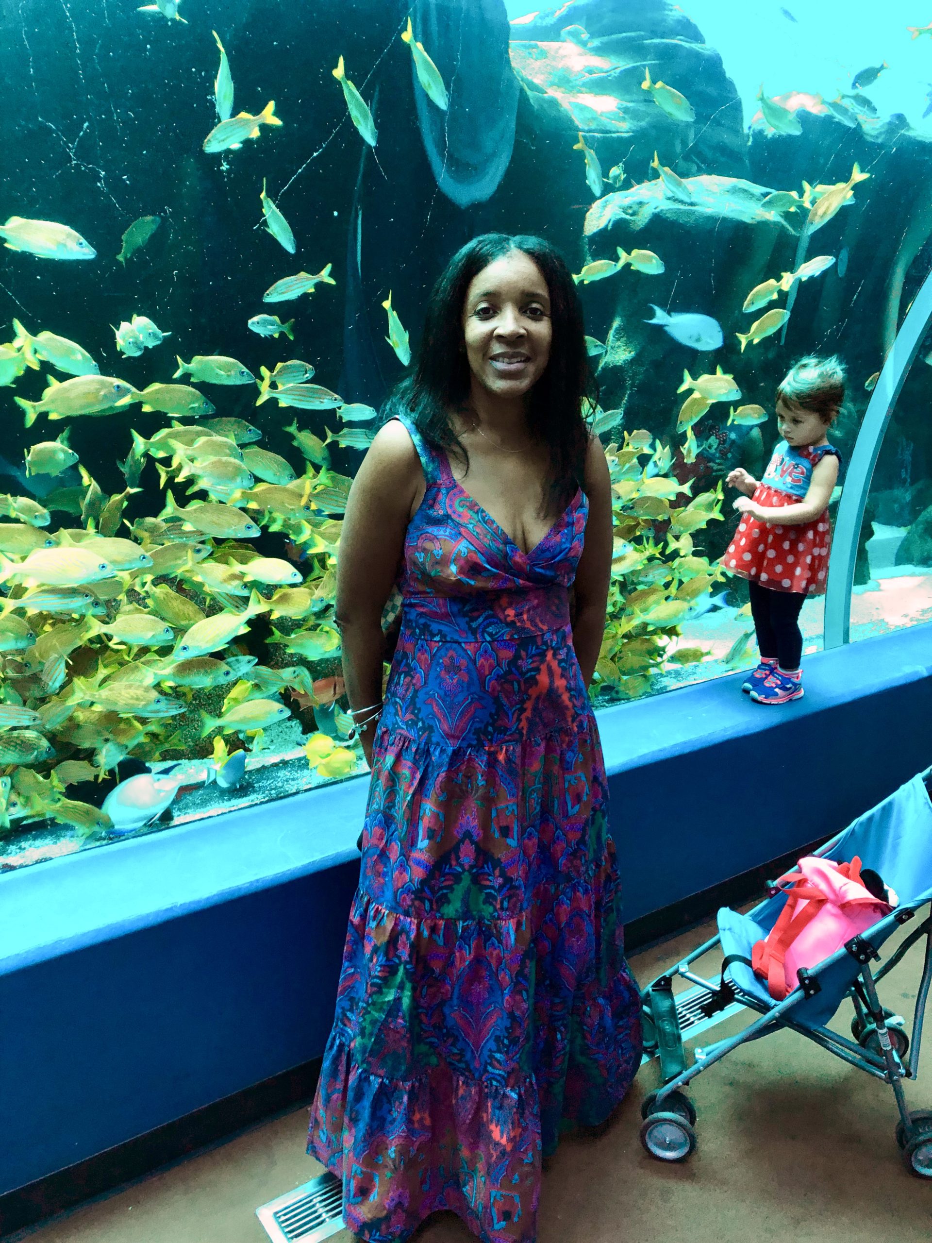 Aquarium and CocaCola World The Murray's Way